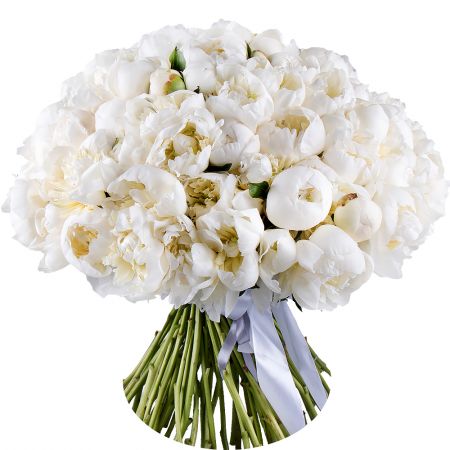 peony (101 pcs.), packaging, ribbon