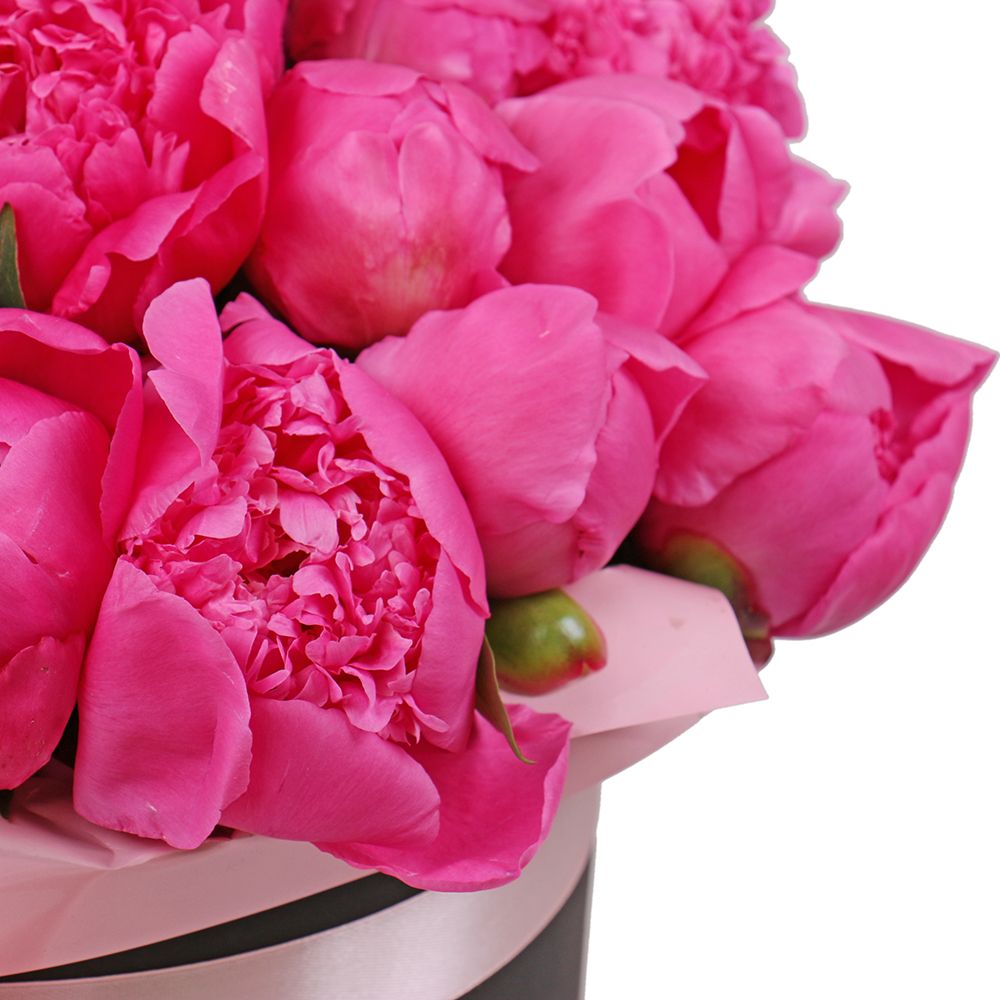 box, oasis, peony (21 pcs.), packaging, ribbon
