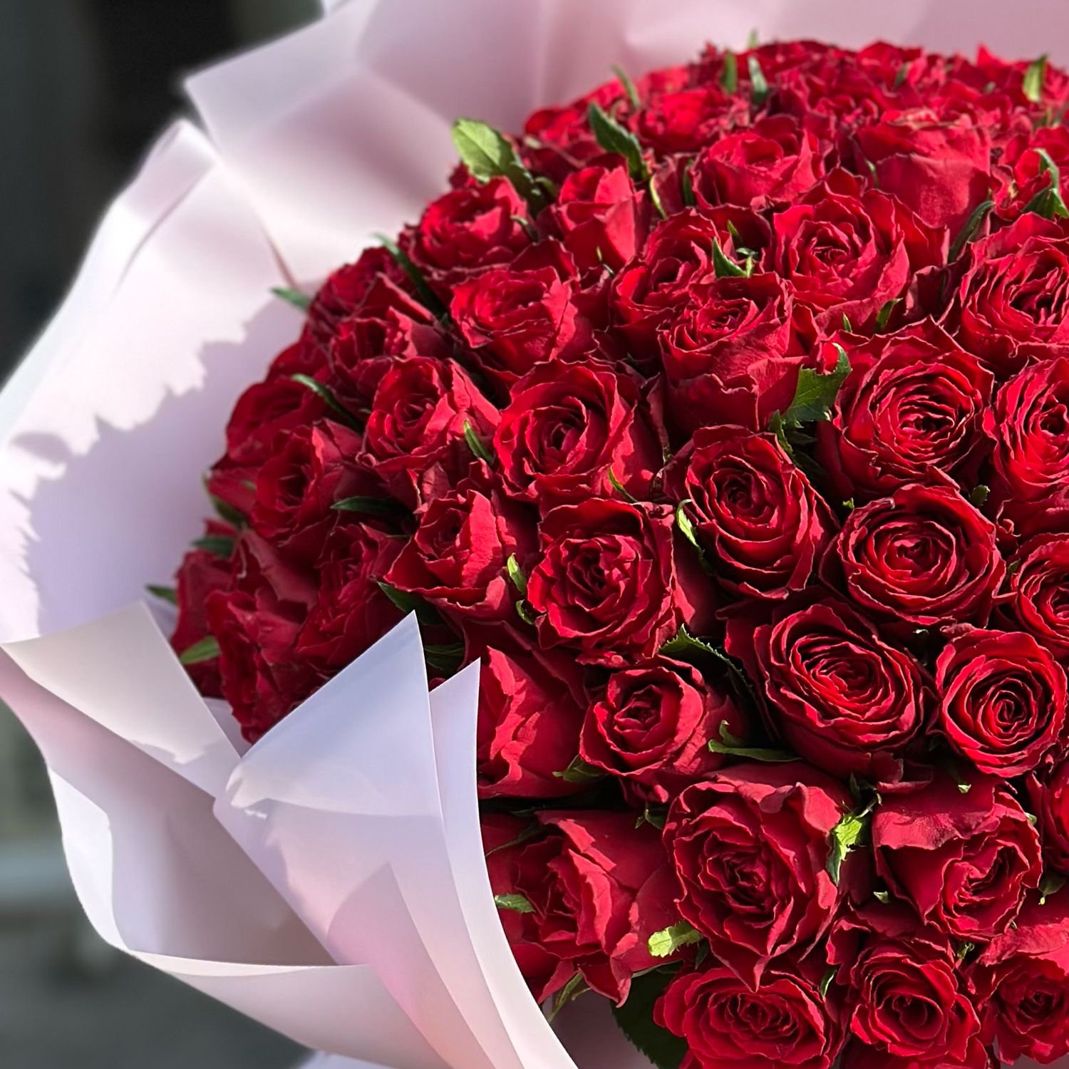 rose (101 pcs.), packaging, ribbon