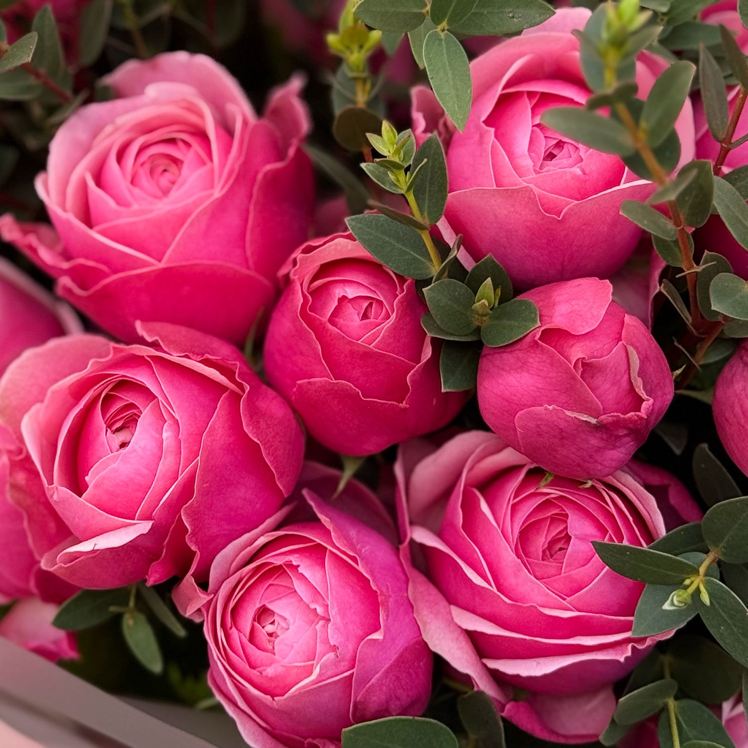 Bouquet 11 pink peony roses