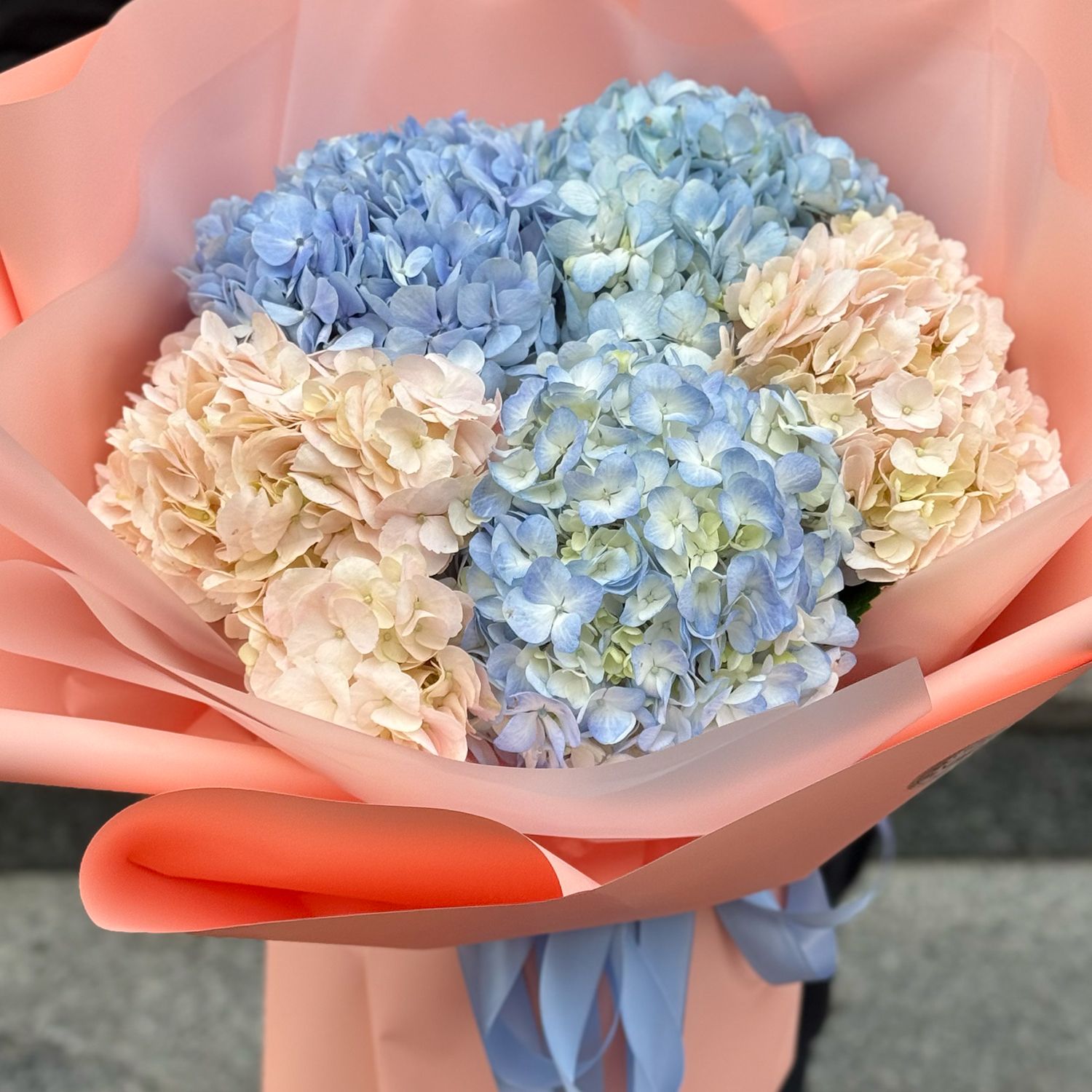 Bouquet 5 hydrangeas