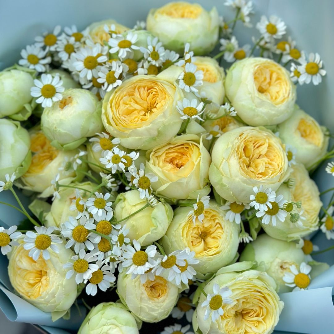 yellow rose, peony bubbles (7 pcs.), tanacetum, packaging, ribbon