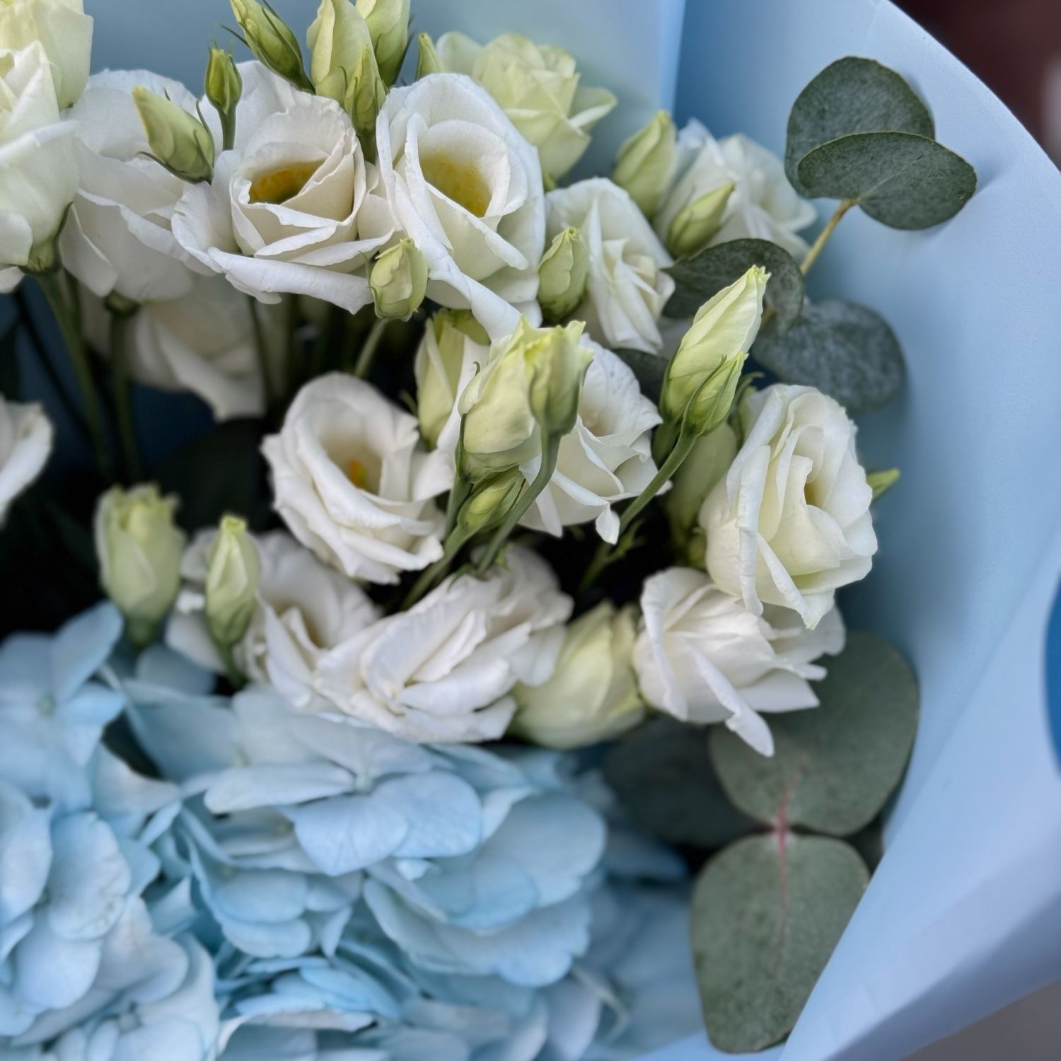 hydrangea, eustoma (3 pcs.), eucalyptus, packaging, ribbon
