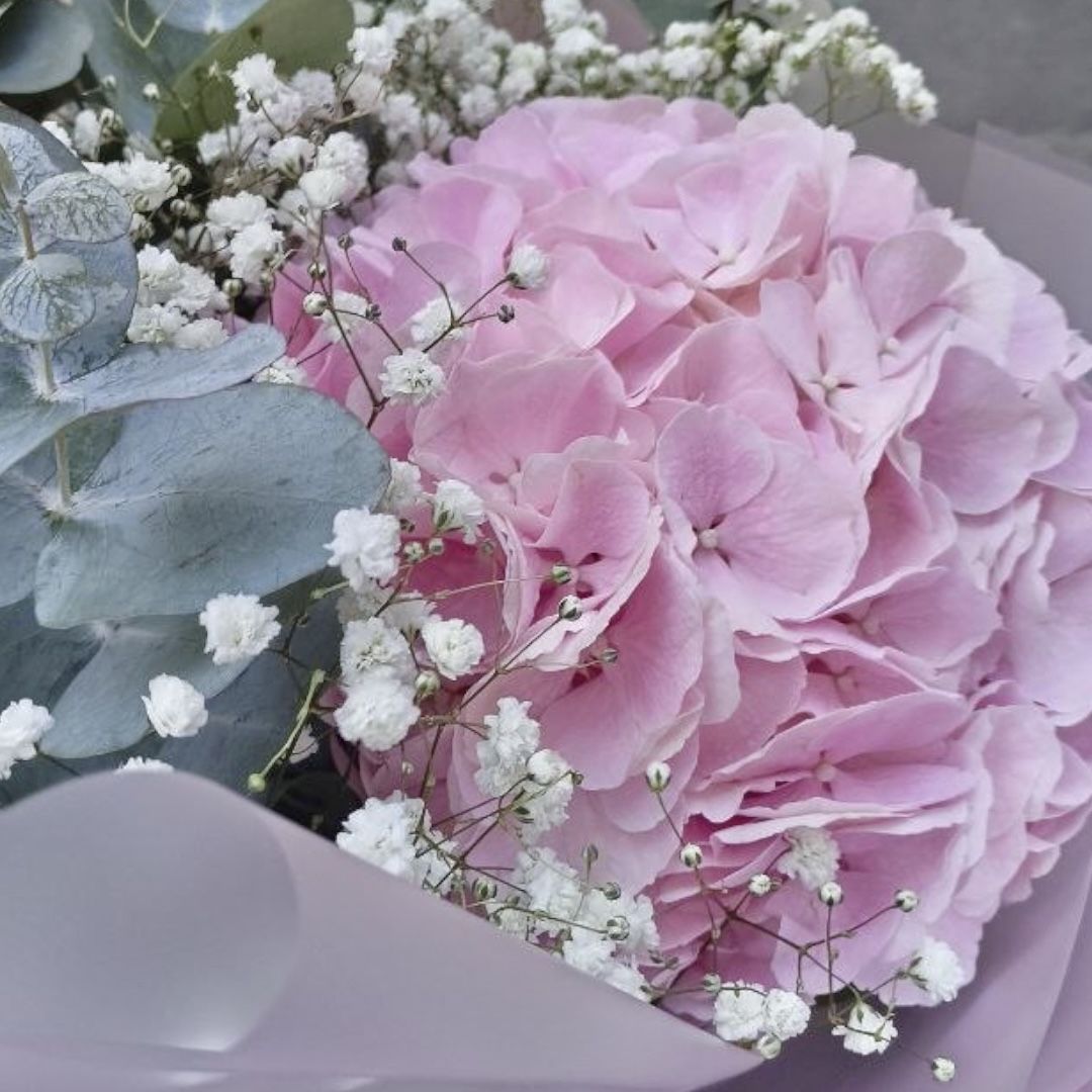 pink hydrangea, gypsophila (3 pcs.), eucalyptus, packaging, ribbon