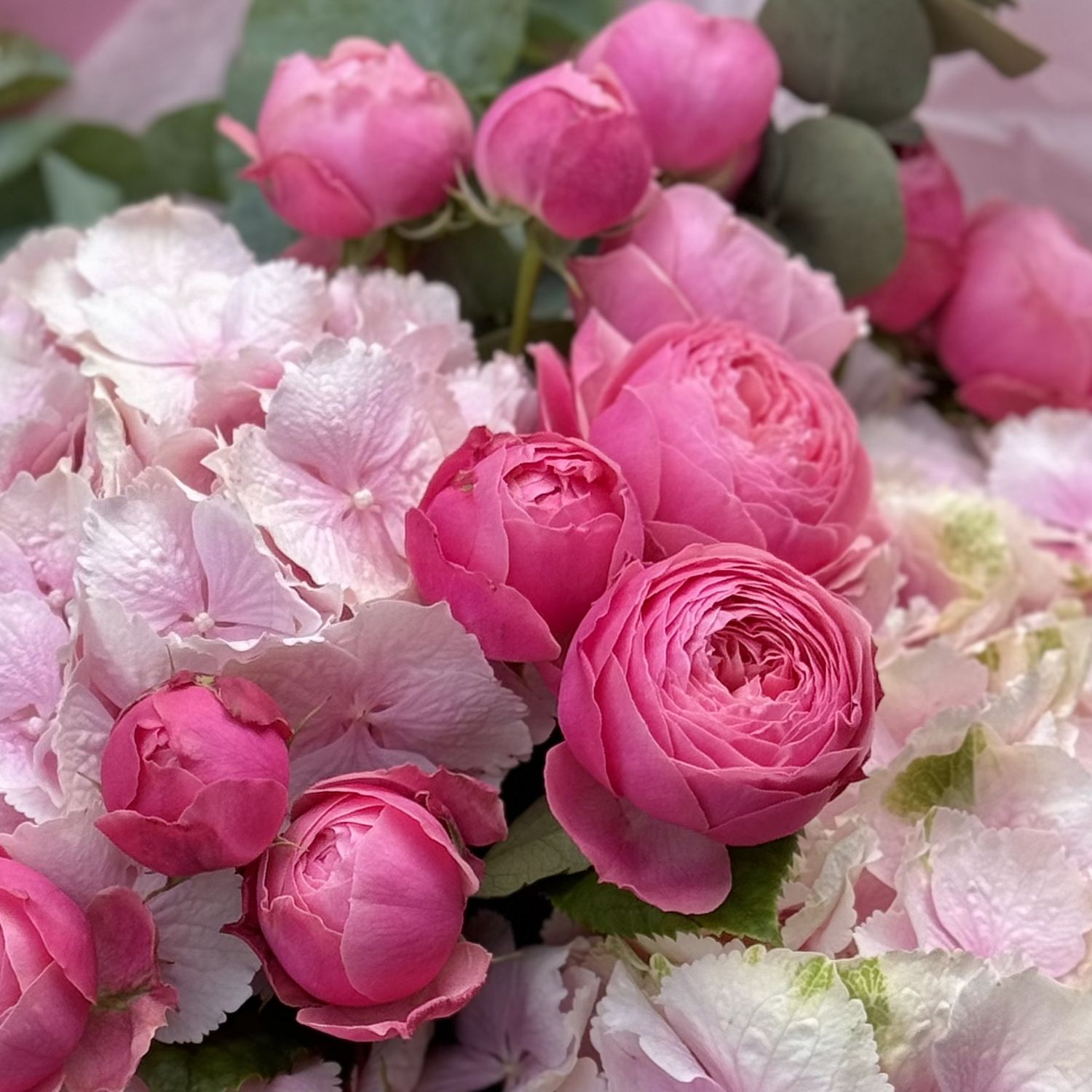 hydrangea, rose (9 pcs.), eucalyptus, packaging, ribbon