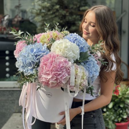 Bouquet Hydrangea mix in a box XXL