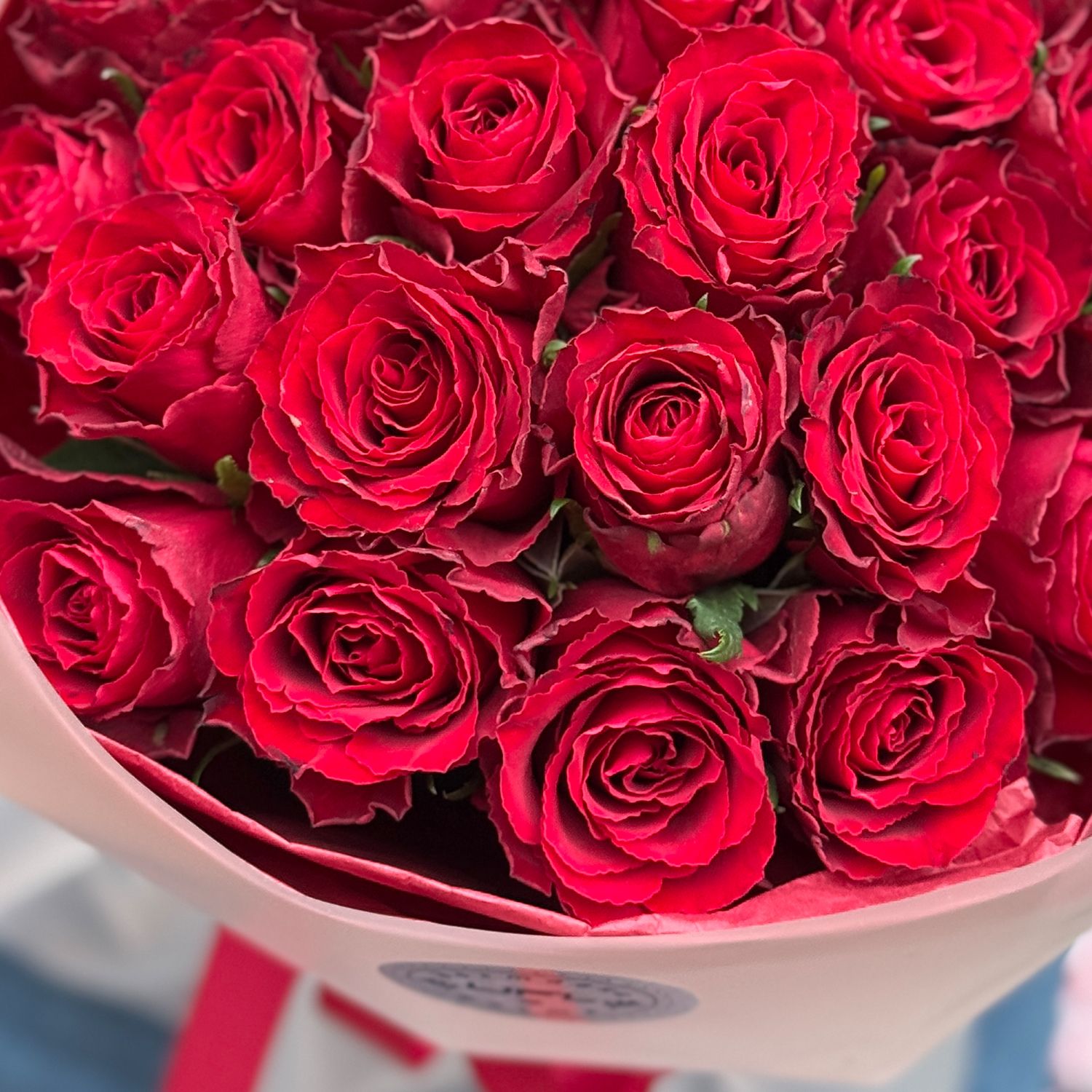 Bouquet  25 red roses Kenia