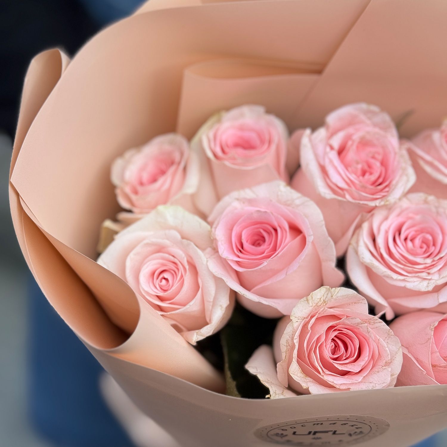 Bouquet 11 pink roses Kenia