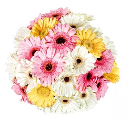Bouquet Sweet meets