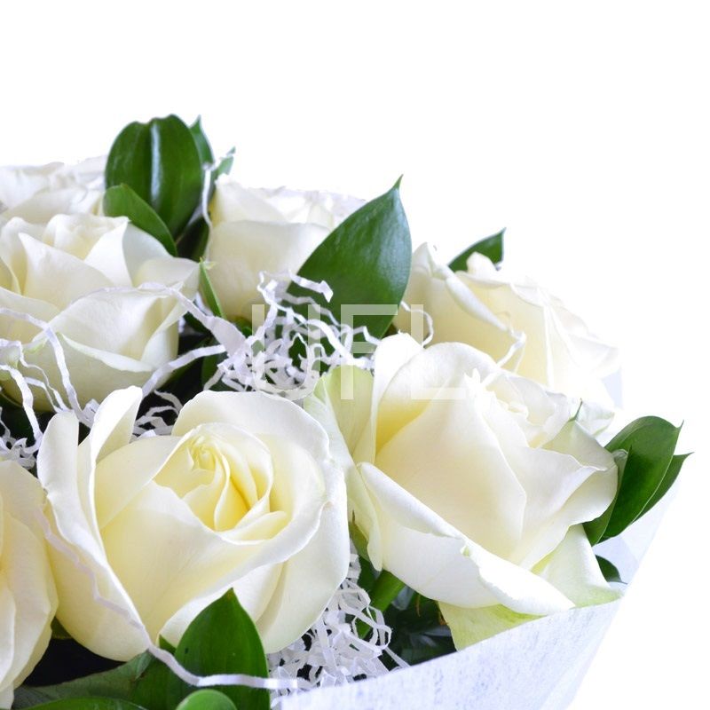 white rose (15 pcs.), packaging, ribbon