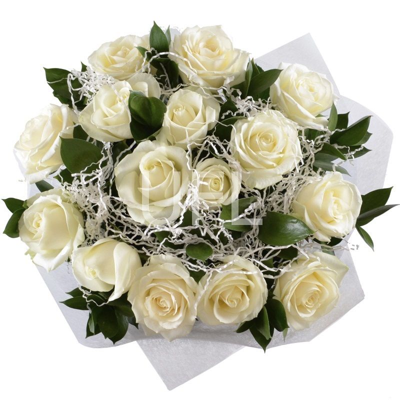 white rose (15 pcs.), packaging, ribbon