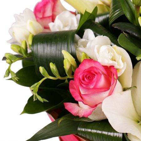 pink rose (7 pcs.), white lily, white freesia, white cymbidium, packaging, ribbon