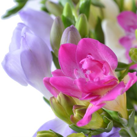 Bouquet Rainbow