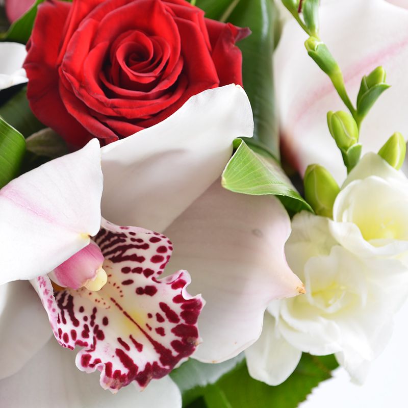 Bouquet Romance
