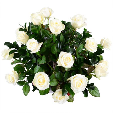 Bouquet Snow