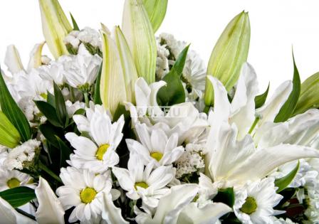 Bouquet Vernissage