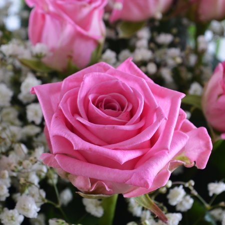 Bouquet Timid tenderness