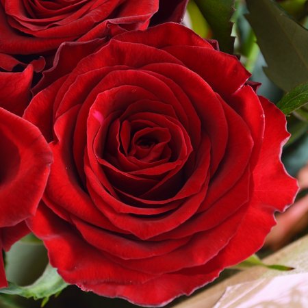 Bouquet Ovation
