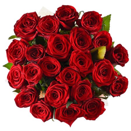 Bouquet Ovation