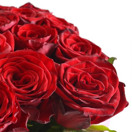 Bouquet Ovation