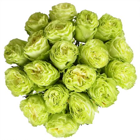 Bouquet Woodmaid