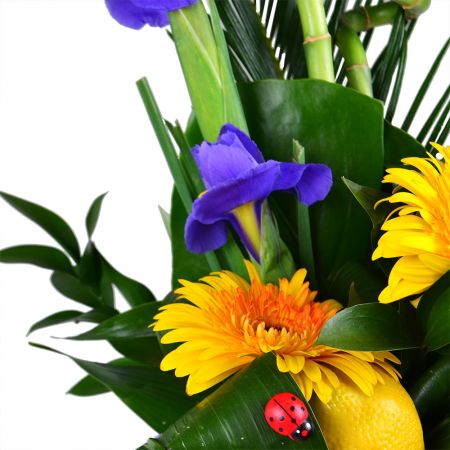 Bouquet Citron