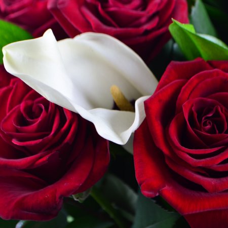Bouquet of roses and callas - order with worldwide shipping