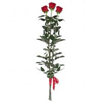 premium red rose (3 pcs.), packaging, ribbon
