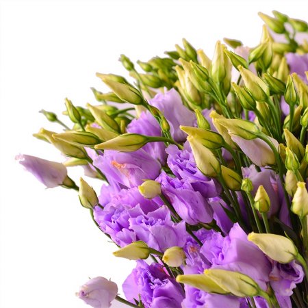 Bouquet Purple
