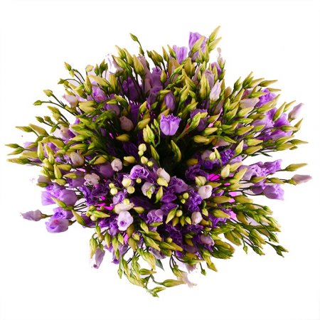 Bouquet Purple