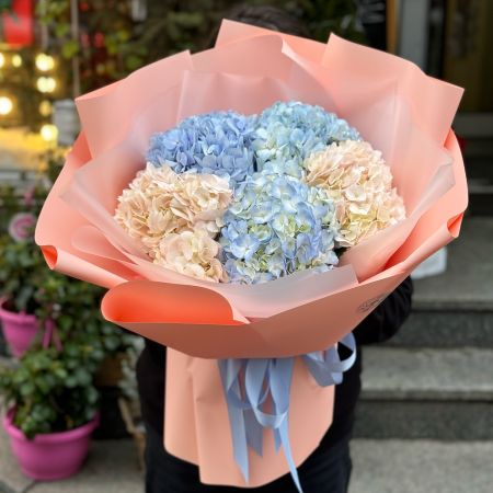 Bouquet 5 hydrangeas
