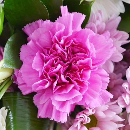 Bouquet Belvedere