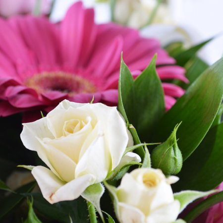 Bouquet Pink wonder