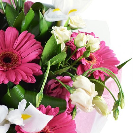 Bouquet Pink wonder