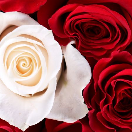 Bouquet You are the one