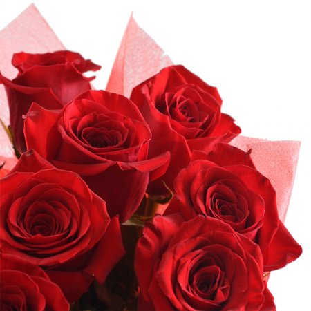 Bouquet 11 premium roses