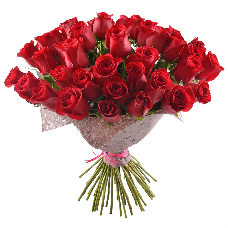 Bouquet 51 premium roses