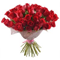 Bouquet 51 premium roses