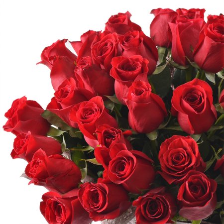Bouquet 51 premium roses
