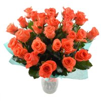 orange rose (25 pcs.), packaging, ribbon