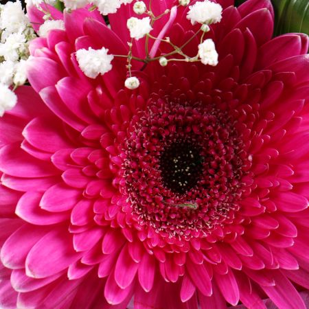 Bouquet Feelings