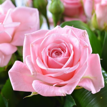 Bouquet For a bride