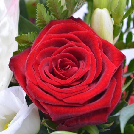 Bouquet Exclusive