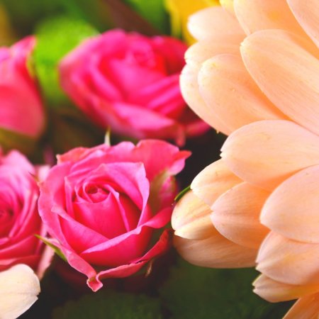 Bouquet Colorful