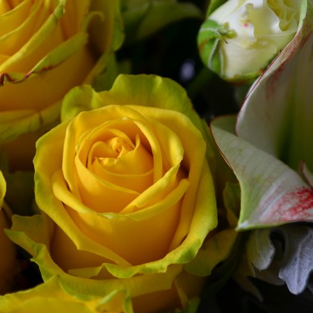Bouquet Unusual
