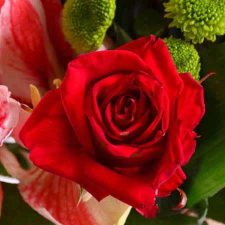 Order the bouquet in our online shop. Delivery!