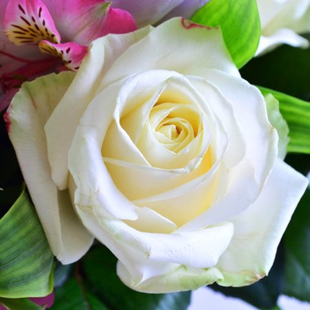 Order the bouquet in our online shop. Delivery!