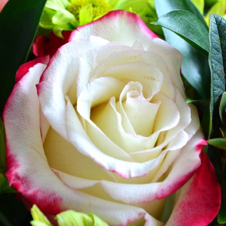 Bouquet Christmas Gift