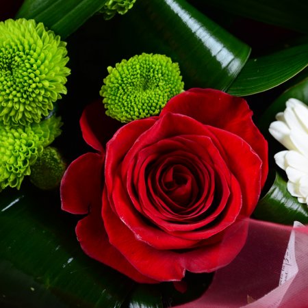 Order the bouquet in our online shop. Delivery!