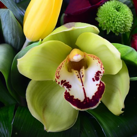 Order the bouquet in our online shop. Delivery!  